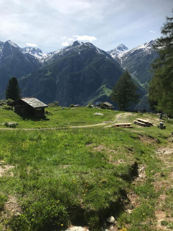 Ferienwohnung Edelweiss Grächen Zewnętrze zdjęcie